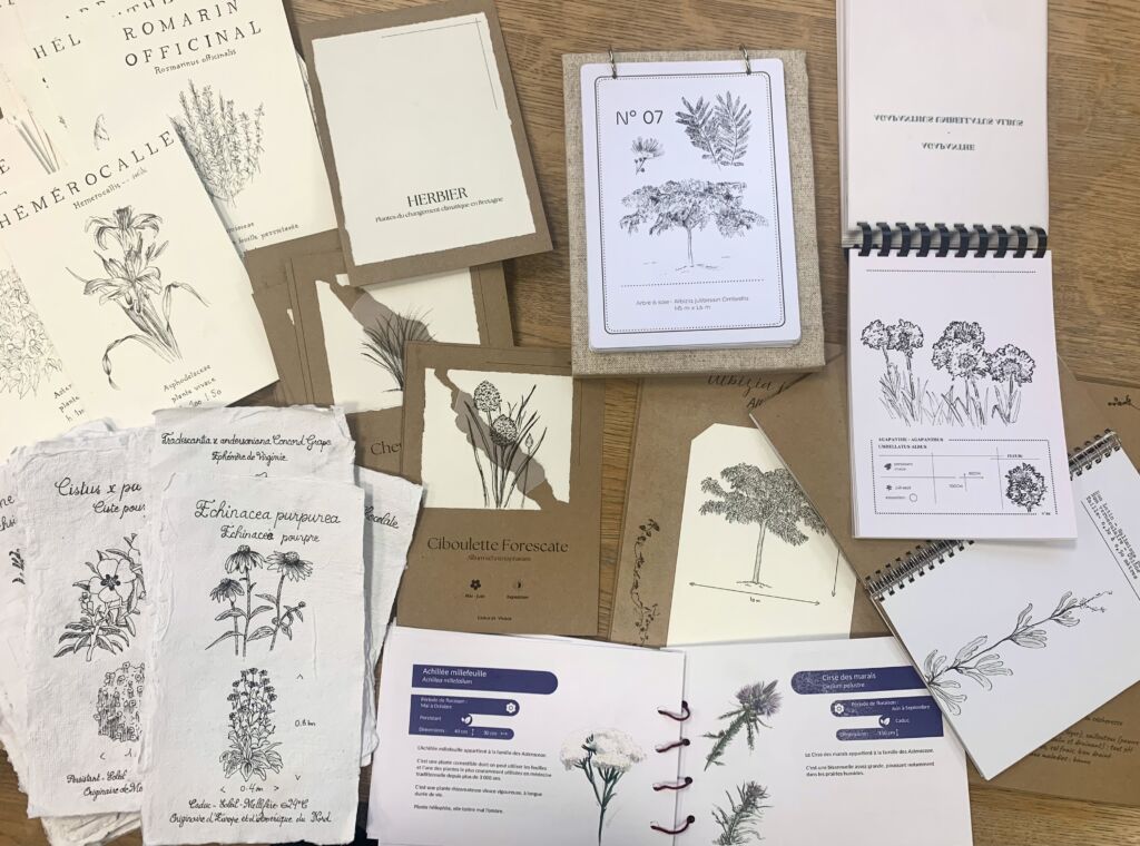 rendu herbier architecture paysagère janv2025